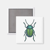 Aimant The tansy beetle (Recto/Verso)