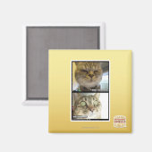 Aimant Thermomètre (Recto/Verso)