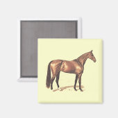 Aimant Thoroughbred (Recto/Verso)