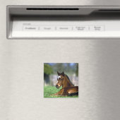 Aimant Thoroughbred Horse, Irlande (In Situ (Lave-vaisselle))