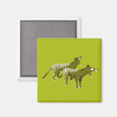 Aimant Thylacine (Recto/Verso)
