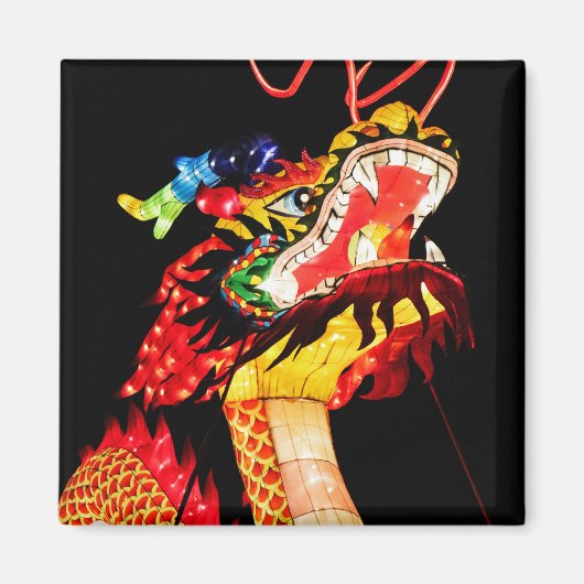 Aimant Tianlong Dragon (Devant)