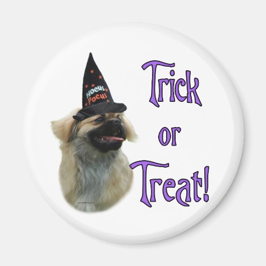 Aimant Tibétain Spaniel Trick (Devant)