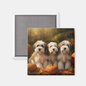 Aimant Tibétain Terrier Chiot Automne Citrouille délice (Recto/Verso)