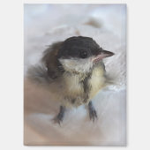 Aimant Tidi my Bird le Parus Major (Recto)