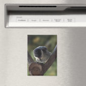 Aimant Tidi my Bird le Parus Major (In Situ (Lave-vaisselle))