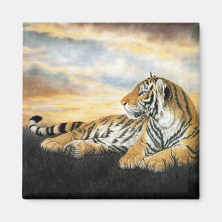 Aimant Tiger Dawn