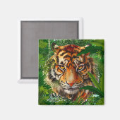 Aimant Tiger - Faune Nature Jungle Gros Chats (Recto/Verso)