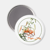 Aimant Tiger Lilly (Recto/Verso)