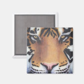 Aimant Tiger Portrait (Recto/Verso)