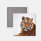Aimant Tiger regard latéral photo (Recto/Verso)