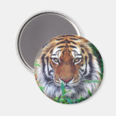 Aimant Tiger Stare (Recto/Verso)