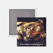 Aimant Tiger vous regarde (Recto/Verso)