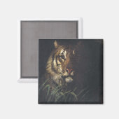 Aimant Tiger's Head (par Abott Handerson Thayer) (Recto/Verso)
