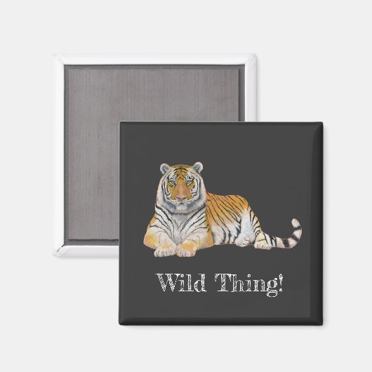 Aimant Tigre (Recto/Verso)