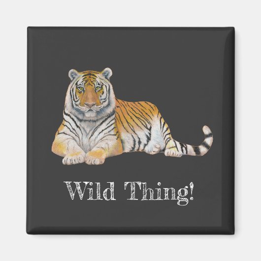 Aimant Tigre (Devant)