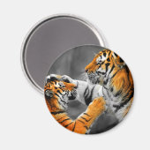 Aimant Tigre (Recto/Verso)