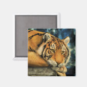 Aimant Tigre (Recto/Verso)