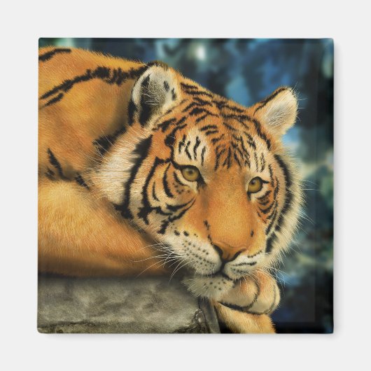 Aimant Tigre (Devant)