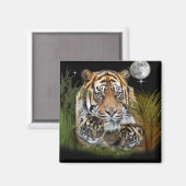 Aimant Tigre (Recto/Verso)