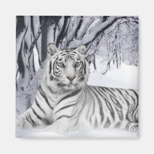 Aimant Tigre à neige