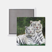 Aimant Tigre à neige (Recto/Verso)