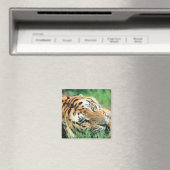 Aimant Tigre allongé dans l'herbe (In Situ (Lave-vaisselle))