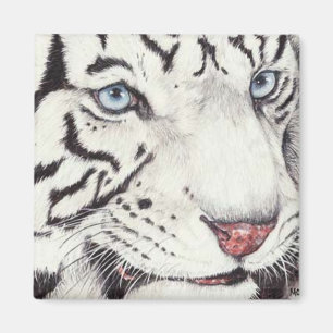 Aimant Tigre blanc