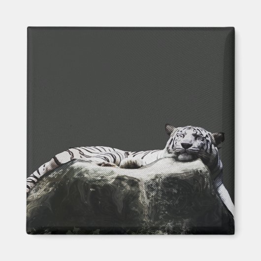 Aimant Tigre blanc - Big Cat dormir (Devant)