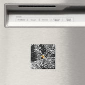 Aimant Tigre Cache-Cache (In Situ (Lave-vaisselle))