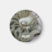 Aimant Tigre-chat couché (Devant)