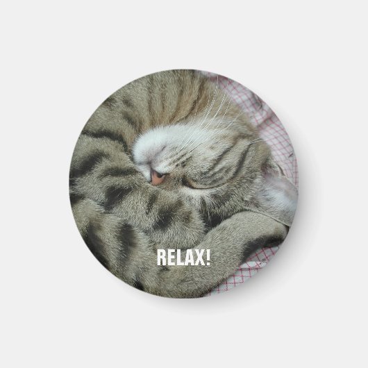 Aimant Tigre-chat couché (Devant)