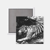 Aimant Tigre d'attaque noir et blanc (Recto/Verso)