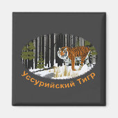 Aimant Tigre de Sibérie (Devant)