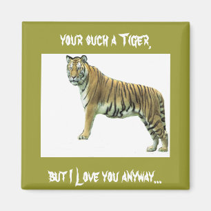 Aimant Tigre du Bengale