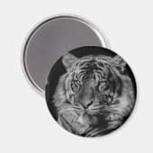 Aimant Tigre noir et blanc (Recto/Verso)