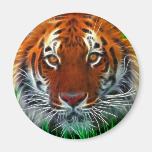 Aimant Tigre rare de Sumatran d'Indonésie