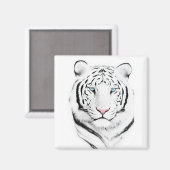 Aimant Tigres blancs de Sibérie (Recto/Verso)