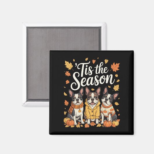 Aimant Tis The Season Boston Terrier Fall Autumn Pumpkin (Recto/Verso)