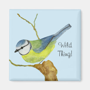 Aimant Tit bleu