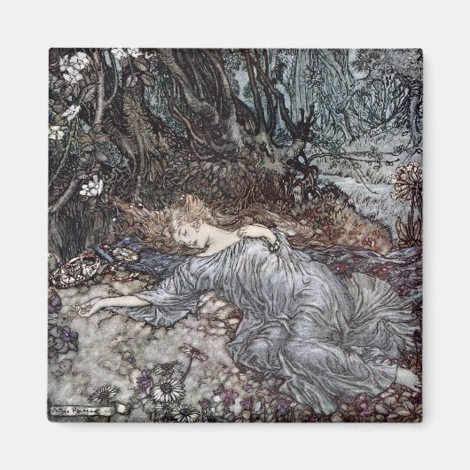 Aimant Titania s'endort (Devant)