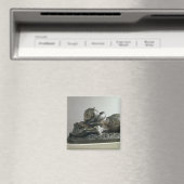 Aimant Tivouring à alligator, 1832 (bronze) (In Situ (Lave-vaisselle))