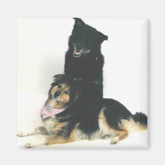 Aimant TK et Ka'vik (Devant)