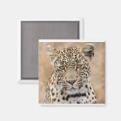 Aimant Tlalamaba Princesse de Djume (Recto/Verso)