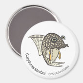 Aimant TM-08-Corydoras sterbai (Recto/Verso)