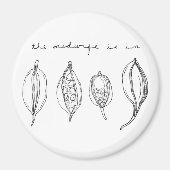 aimant TMII (Devant)