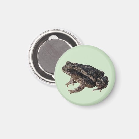 Aimant Toad (Recto/Verso)