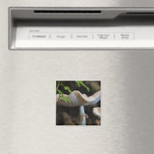Aimant Toadstool parapluie (In Situ (Lave-vaisselle))