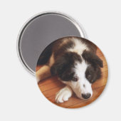 Aimant Toby2 (Recto/Verso)