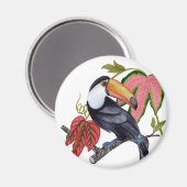 Aimant Toco Toucan (Recto/Verso)